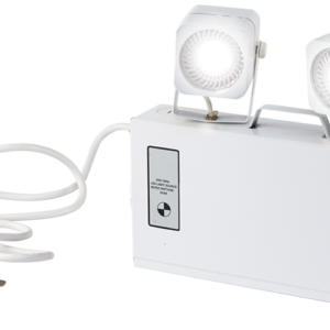 LED Flood Light